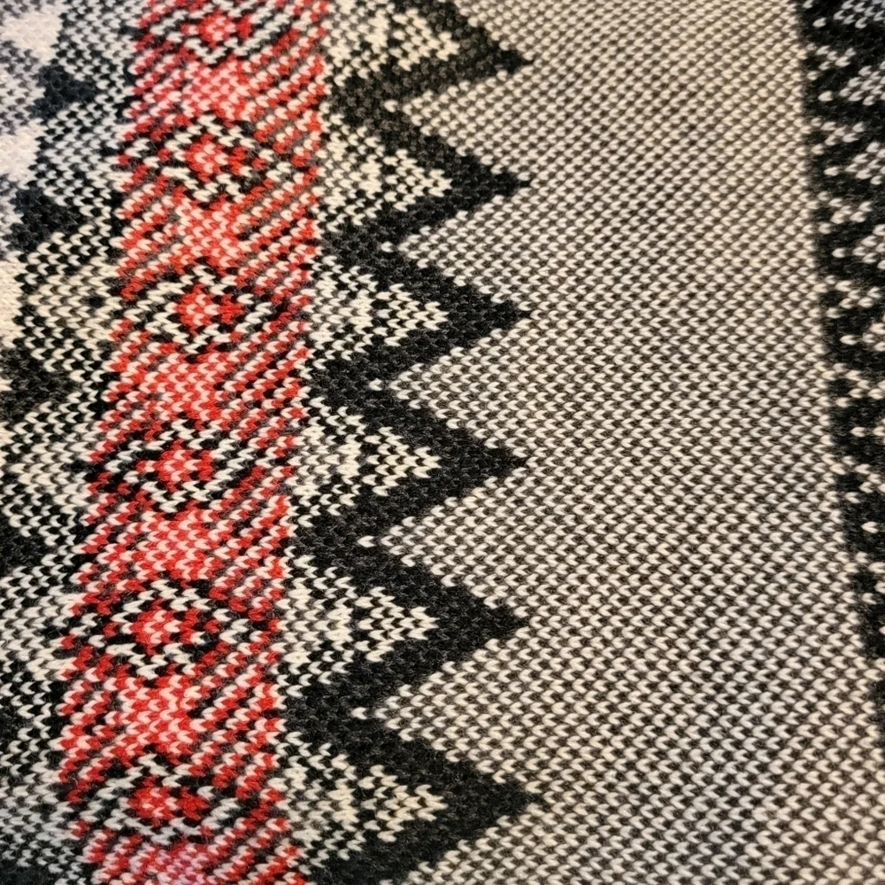 NWT Express Zig Zag Stripe Scarf
